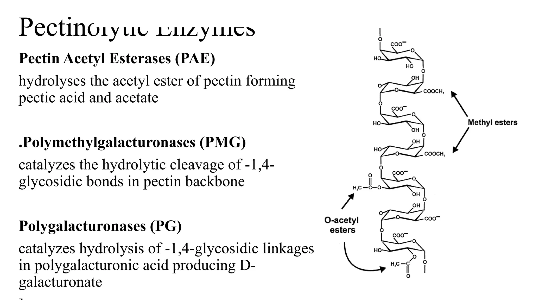 Pectinase Structure Pectinase: introduction and description.pptx