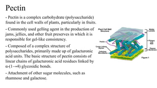 Pectinase: introduction and description.pptx