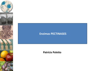 Enzimas PECTINASES
Patrícia Poletto
 