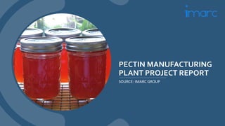PECTIN MANUFACTURING
PLANT PROJECT REPORT
SOURCE: IMARC GROUP
 
