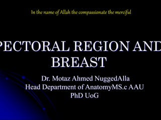 PECTORAL REGION AND
BREAST
In the name of Allah the compassionate the merciful
Dr. Motaz Ahmed NuggedAlla
Head Department of AnatomyMS.c AAU
PhD UoG
 