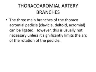 THORACOAROMIAL ARTERY
BRANCHES
• The three main branches of the thoraco
acromial pedicle (clavicle, deltoid, acromial)
can be ligated. However, this is usually not
necessary unless it significantly limits the arc
of the rotation of the pedicle.
 