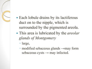  Each lobule drains by its lactiferous
duct on to the nipple, which is
surrounded by the pigmented areola.
 This area is lubricated by the areolar
glands of Montgomery
◦ large,
◦ modified sebaceous glands →may form
sebaceous cysts → may infected.
 