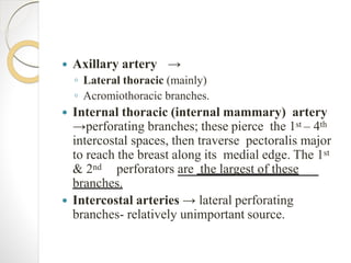  Axillary artery →
◦ Lateral thoracic (mainly)
◦ Acromiothoracic branches.
 Internal thoracic (internal mammary) artery
→perforating branches; these pierce the 1st – 4th
intercostal spaces, then traverse pectoralis major
to reach the breast along its medial edge. The 1st
& 2nd perforators are the largest of these
branches.
 Intercostal arteries → lateral perforating
branches- relatively unimportant source.
 