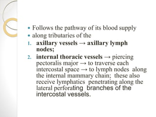  Follows the pathway of its blood supply
 along tributaries of the
1. axillary vessels → axillary lymph
nodes;
2. internal thoracic vessels → piercing
pectoralis major → to traverse each
intercostal space → to lymph nodes along
the internal mammary chain; these also
receive lymphatics penetrating along the
lateral perforating branches of the
intercostal vessels.
 