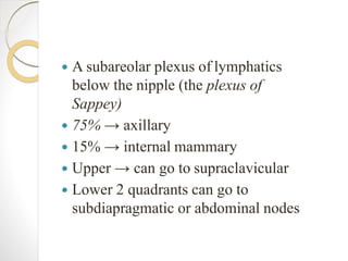  A subareolar plexus of lymphatics
below the nipple (the plexus of
Sappey)
 75% → axillary
 15% → internal mammary
 Upper → can go to supraclavicular
 Lower 2 quadrants can go to
subdiapragmatic or abdominal nodes
 