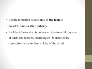  Lobule formation occurs only in the female
• breast & does so after puberty.
 Each lactiferous duct is connected to a tree- like system
of ducts and lobules, intermingled & enclosed by
connective tissue to form a lobe of the gland.
 