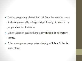  During pregnancy alveoli bud off from the smaller ducts
& the organ usually enlarges significantly, & more so in
preparation for lactation.
 When lactation ceases there is involution of secretory
tissue.
 After menopause progressive atrophy of lobes & ducts
takes place.
 