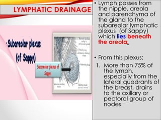 Pectoral region Anatomy UOB lecture 1.pdf