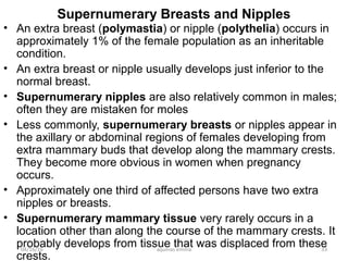 Pectoral Region And Breast Surgical Anatomy PPT pectoral-region-and-breast-surgical-anatomy-ppt