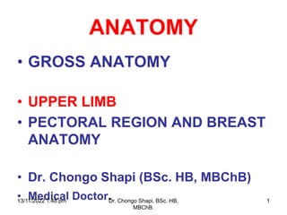 ANATOMY
• GROSS ANATOMY
• UPPER LIMB
• PECTORAL REGION AND BREAST
ANATOMY
• Dr. Chongo Shapi (BSc. HB, MBChB)
• Medical Doctor.
13/11/2022 1:48 pm Dr. Chongo Shapi, BSc. HB,
MBChB.
1
 