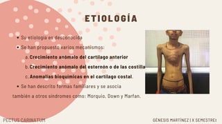 Su etiología es desconocida
Se han propuesto varios mecanismos:
Crecimiento anómalo del cartílago anterior
Crecimiento anómalo del esternón o de las costillas
Anomalías bioquímicas en el cartílago costal.
Se han descrito formas familiares y se asocia
a.
b.
c.
también a otros síndromes como: Morquio, Down y Marfan.
ETIOLOGÍA
GÉNESIS MARTÍNEZ | X SEMESTREt
PECTUS CARINATUM
 