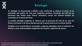Etiología
Su etiología es desconocida y debido a que raramente se observa al nacer, se ha
postulado que podría ser más que congénito, genético. Alrededor del 25% de los
pacientes que suelen tener Pectus carinatum, cursan con historia familiar de
anomalías en la pared del tórax.
La posible etiología congénita se refuerza por la presencia de más de un caso de
Pectus Carinatum o de otras alteraciones de la pared torácica en la misma familia.
También se ha encontrado en asociación a algunas patologías como el síndrome de
Marfan y otras enfermedades congénitas del corazón y agenesia de manos.
4
1. Pectus Carinatum Clinical Presentation [Internet]. Pectus Clinic. 2019 [cited 15 December 2019].
Available from: http://www.pectusclinic.com/conditions/pectus-carinatum/
 