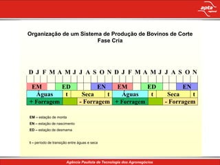 Organização de um Sistema de Produção de Bovinos de Corte
                        Fase Cria




D J F MA MJ J A S O N D J F MA MJ J A S O N

 EM        ED                             EN
                                           EM        ED         EN
  Águas     t                   Seca     t  Águas     t    Seca     t
+ Forragem                     - Forragem + Forragem      - Forragem

EM – estação de monta
EN – estação de nascimento
ED – estação de desmama


t – período de transição entre águas e seca
 