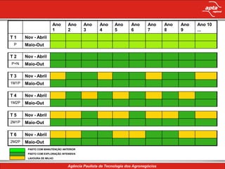 Ano       Ano     Ano   Ano   Ano   Ano   Ano   Ano   Ano   Ano 10
                       1         2       3     4     5     6     7     8     9     ...
T1     Nov - Abril
 P     Maio-Out

T2     Nov - Abril
P+N    Maio-Out

T3     Nov - Abril
1M1P   Maio-Out

T4     Nov - Abril
1M2P   Maio-Out

T5     Nov - Abril
2M1P   Maio-Out

T6     Nov - Abril
2M2P   Maio-Out
        PASTO COM MANUTENÇÃO ANTERIOR
        PASTO COM EXPLORAÇÃO INTENSIVA
        LAVOURA DE MILHO
 