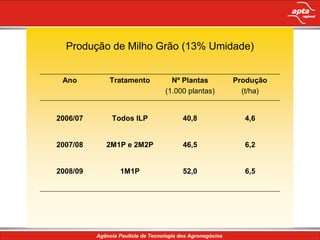 Produção de Milho Grão (13% Umidade)


 Ano      Tratamento      Nº Plantas      Produção
                        (1.000 plantas)     (t/ha)


2006/07    Todos ILP         40,8           4,6


2007/08   2M1P e 2M2P        46,5           6,2


2008/09      1M1P            52,0           6,5
 