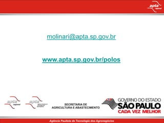 molinari@apta.sp.gov.br


www.apta.sp.gov.br/polos
 