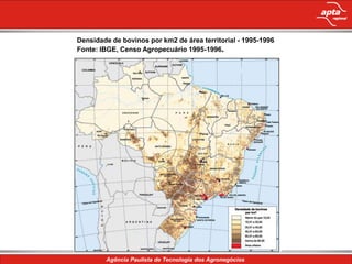 Densidade de bovinos por km2 de área territorial - 1995-1996
Fonte: IBGE, Censo Agropecuário 1995-1996.




             Conteúdo da apresentação
 