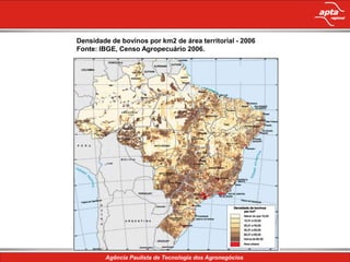 Densidade de bovinos por km2 de área territorial - 2006
Fonte: IBGE, Censo Agropecuário 2006.




             Conteúdo da apresentação
 