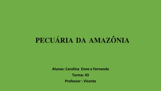 PECUÁRIA DA AMAZÔNIA
Alunas: Carolina Enne e Fernanda
Turma: 43
Professor : Vicente
 