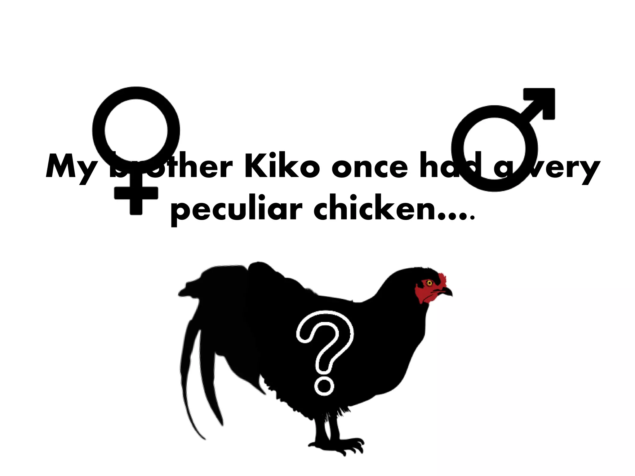 My Brother's Peculiar chicken | PPTX