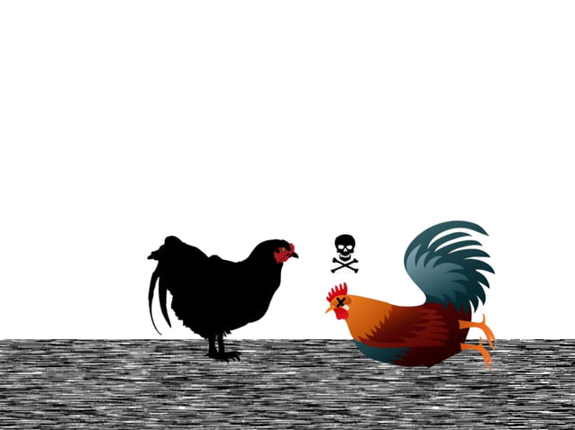 My Brother's Peculiar chicken | PPTX | Birdwatching | Hobbies & Interests