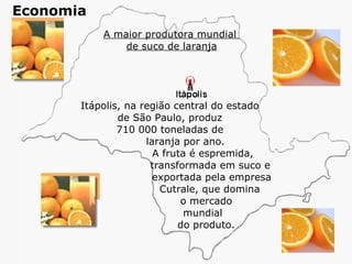 A maior produtora mundial  de suco de laranja Itápolis, na região central do estado  de São Paulo, produz  710 000 toneladas de    laranja por ano.    A fruta é espremida,    transformada em suco e    exportada pela empresa    Cutrale, que domina    o mercado    mundial    do produto. Economia 