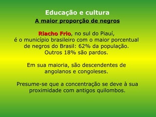 A maior proporção de negros Riacho Frio , no sul do Piauí,  é o município brasileiro com o maior porcentual  de negros do Brasil: 62% da população.  Outros 18% são pardos.  Em sua maioria, são descendentes de  angolanos e congoleses.  Presume-se que a concentração se deve à sua proximidade com antigos quilombos. Educação e cultura 