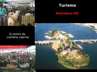 Petrolina-PE Turismo O centro da  culinária caprina 
