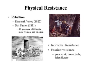 Peculiar institution