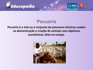 Pecuária Pecuária é a arte ou o conjunto de processos técnicos usados na domesticação e criação de animais com objetivos econômicos, feita no campo. 