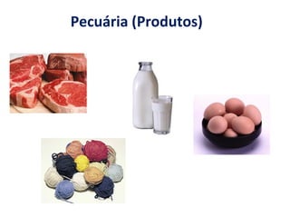 Pecuária (Produtos) 