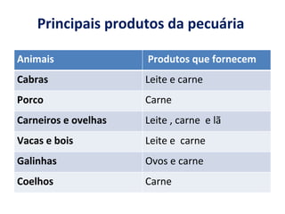 Principais produtos da pecuária   Animais Produtos que fornecem Cabras  Leite e carne Porco Carne Carneiros e ovelhas Leite , carne  e lã Vacas e bois Leite e  carne Galinhas Ovos e carne Coelhos Carne  