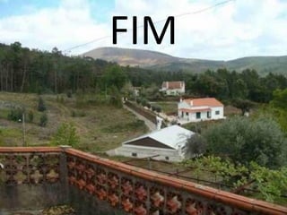 FIM 