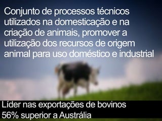 Conjunto de processos técnicos
utilizados na domesticação e na
criação de animais, promover a
utilização dos recursos de origem
animal para uso doméstico e industrial
Líder nas exportações de bovinos
56% superior aAustrália
 
