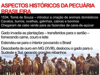 ASPECTOSHISTÓRICOSDAPECUÁRIA
BRASILEIRA
Gado invadia as plantações – transferidos para o sertão –
fornecendo carne, couro e leite
Estendeu-se para o interior povoando o Brasil
Descoberta de ouro em MG (XVIII), deslocou o gado para o
Sudeste e Sul, gerando grandes rebanhos
1534, Tomé de Souza – introduz a criação de animais domésticos
Cavalos, burros, ovelhas, galinhas, cabras e bovinos
Chegaram de cabo verde para as fazendas de cana-de-açúcar
 