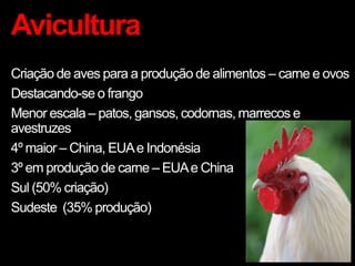 Avicultura
Criação de aves para a produção de alimentos – carne e ovos
Destacando-se o frango
Menor escala – patos, gansos, codornas, marrecos e
avestruzes
4º maior – China, EUAe Indonésia
3º em produção de carne – EUAe China
Sul (50% criação)
Sudeste (35% produção)
 