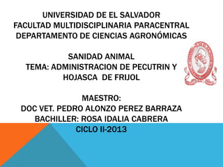 UNIVERSIDAD DE EL SALVADOR
FACULTAD MULTIDISCIPLINARIA PARACENTRAL
DEPARTAMENTO DE CIENCIAS AGRONÓMICAS
SANIDAD ANIMAL
TEMA: ADMINISTRACION DE PECUTRIN Y
HOJASCA DE FRIJOL
MAESTRO:
DOC VET. PEDRO ALONZO PEREZ BARRAZA
BACHILLER: ROSA IDALIA CABRERA
CICLO II-2013

 