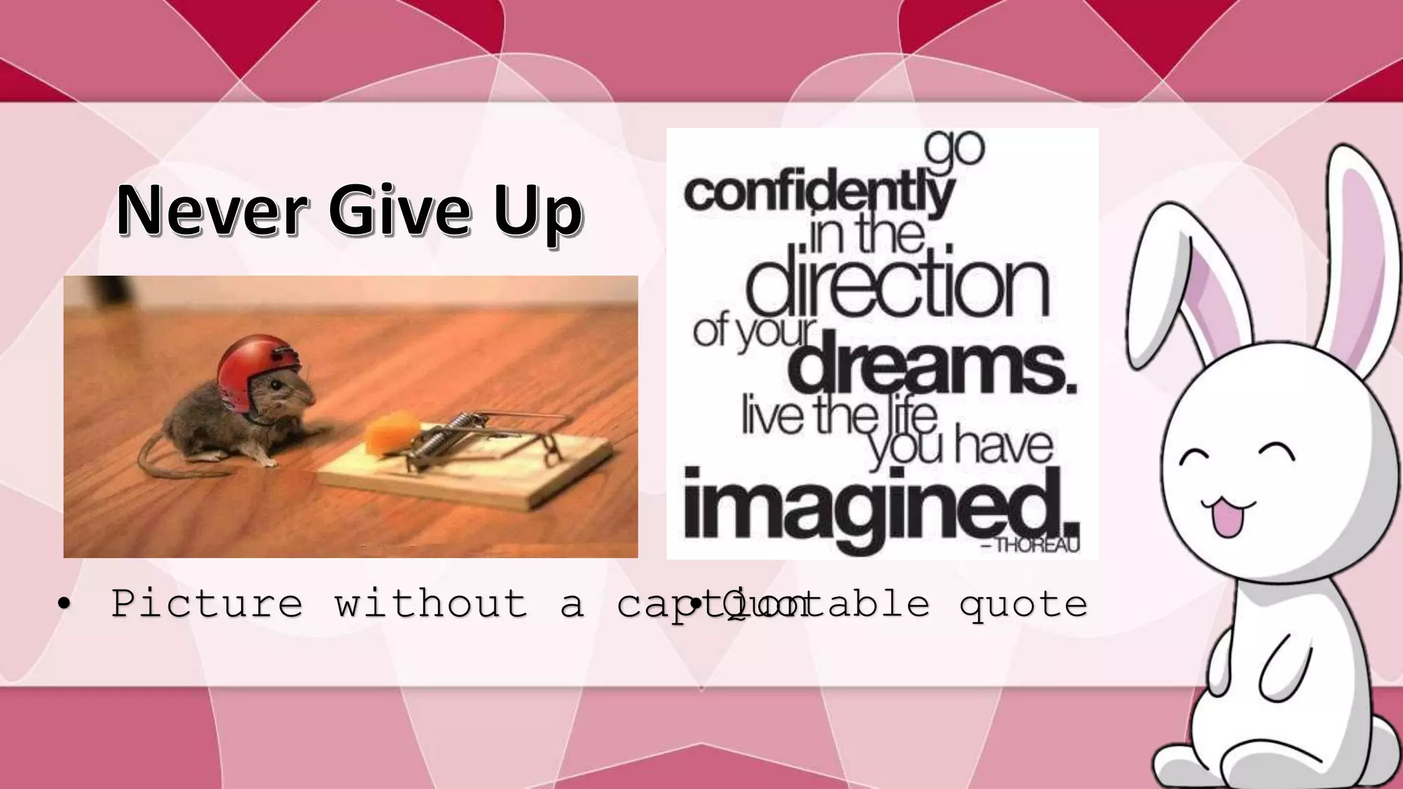 • Picture without a cap•tQiuoontable quote 
 