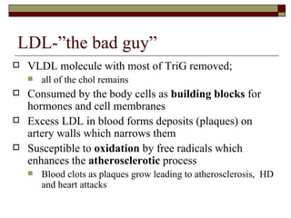 LDL-”the bad guy” VLDL molecule with most of TriG removed;  all of the chol remains Consumed by the body cells as  building blocks  for hormones and cell membranes Excess LDL in blood forms deposits (plaques) on artery walls which narrows them Susceptible to  oxidation  by free radicals which enhances the  atherosclerotic  process Blood clots as plaques grow leading to atherosclerosis,  HD and heart attacks 
