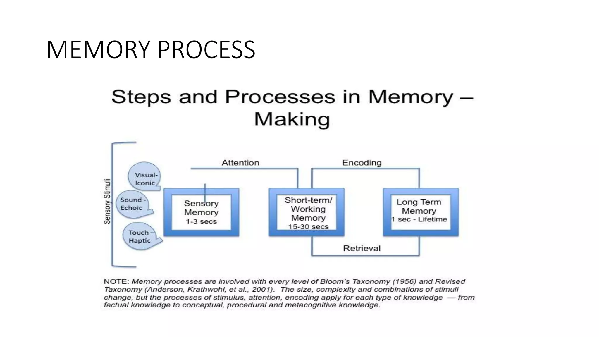 MEMORY PROCESS
 