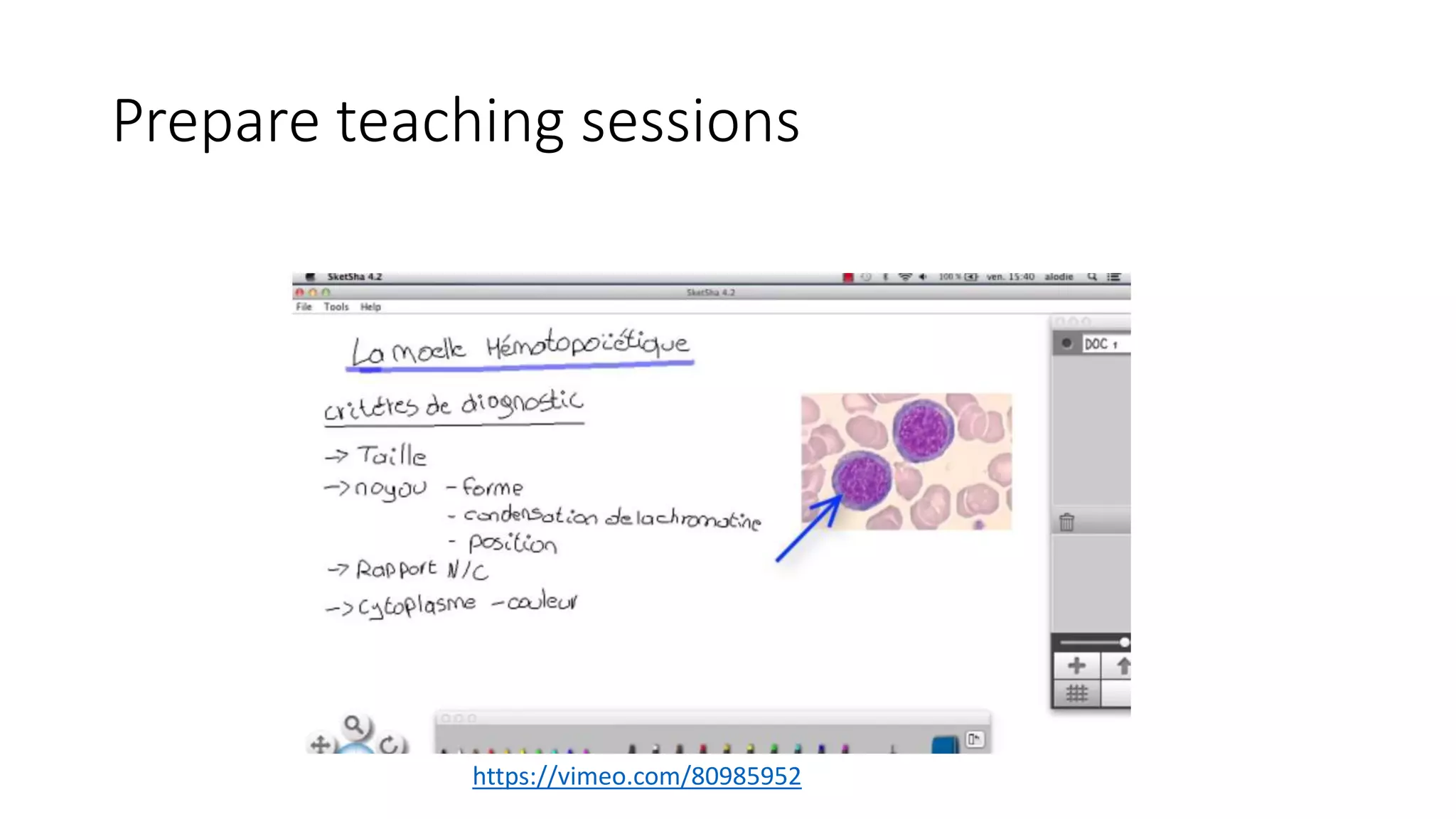 Prepare teaching sessions
https://vimeo.com/80985952
 