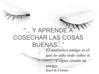 “ ... Y APRENDE A COSECHAR LAS COSAS BUENAS...” El auténtico amigo es el que lo sabe todo sobre tí  y sigue siendo tu amigo. Kurt D. Cobain   