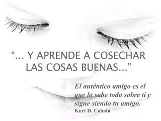 “... Y APRENDE A COSECHAR
    LAS COSAS BUENAS...”
           El auténtico amigo es el
           que lo sabe todo sobre ti y
           sigue siendo tu amigo.
           Kurt D. Cobain
 