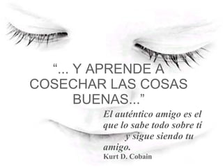 “ ... Y APRENDE A COSECHAR LAS COSAS BUENAS...” El auténtico amigo es el que lo sabe todo sobre tí  y sigue siendo tu amigo. Kurt D. Cobain   
