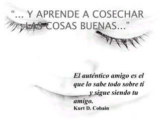“ ... Y APRENDE A COSECHAR LAS COSAS BUENAS...” El auténtico amigo es el que lo sabe todo sobre tí  y sigue siendo tu amigo. Kurt D. Cobain   