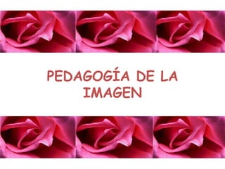 PEDAGOGÍA DE LA
    IMAGEN
 