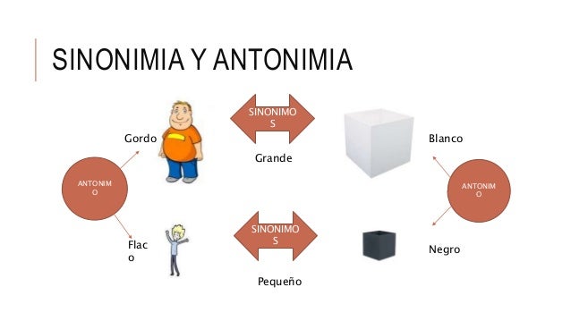 Sinonimo de observar