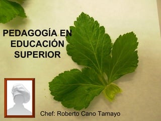 PEDAGOGÍA EN
 EDUCACIÓN
  SUPERIOR




      Chef: Roberto Cano Tamayo
 