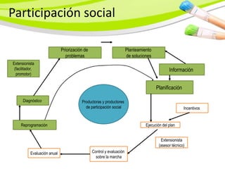 Participación social

                              Priorización de                          Planteamiento
                                problemas                              de soluciones
Extensionista
 (facilitador,                                                                                 Información
  promotor)


                                                                                       Planificación

      Diagnóstico                        Productoras y productores
                                           de participación social                                      Incentivos


     Reprogramación                                                              Ejecución del plan


                                                                                          Extensionista
                                                                                         (asesor técnico)
           Evaluación anual                     Control y evaluación
                                                  sobre la marcha
 